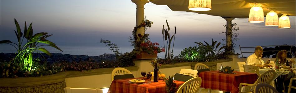 
      Forio d'Ischia. Hotel Residence Parco La Rosa. Terrazza
    